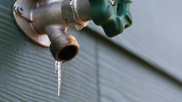 Best Shower Repair Services  in Hollandale, MS